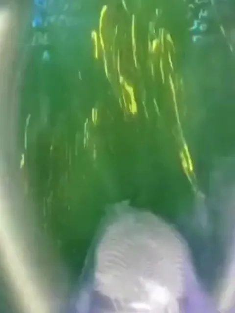 Microphone Under Green Lights