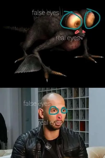 False Eyes Real Eyes