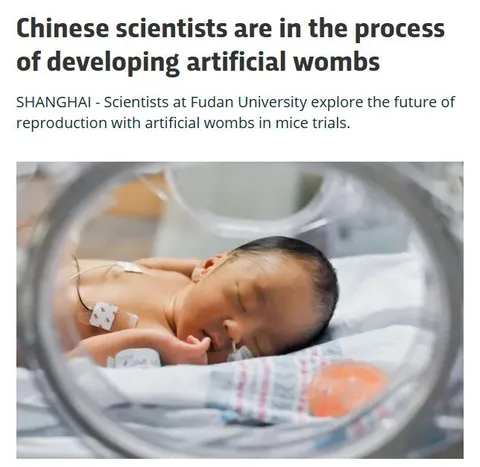 Artificial Wombs in Development