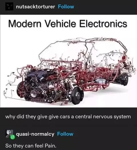 Cars Feel Pain