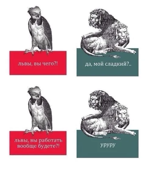 Львы, вы чего?!