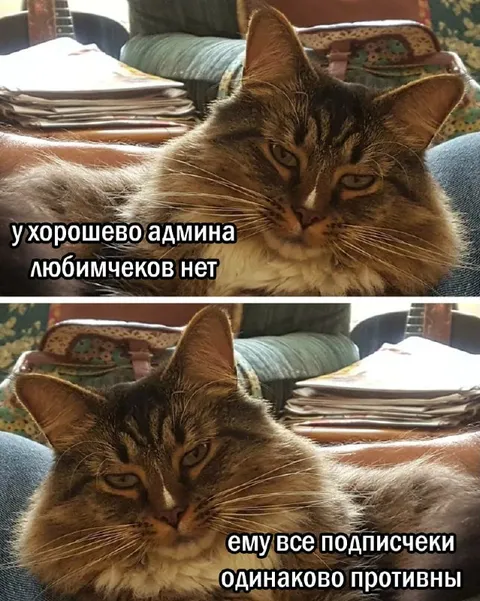 Админу все подписчики противны