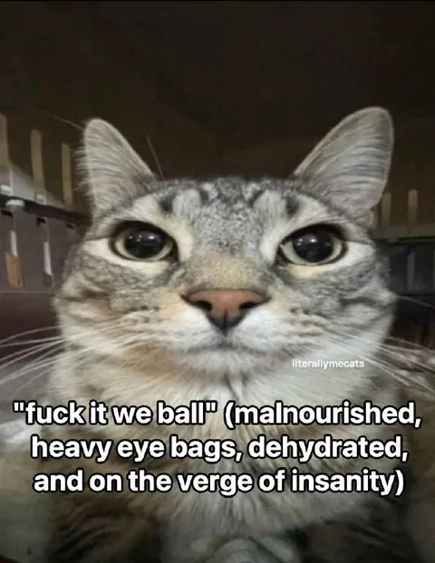 Malnourished Cat Says We Ball