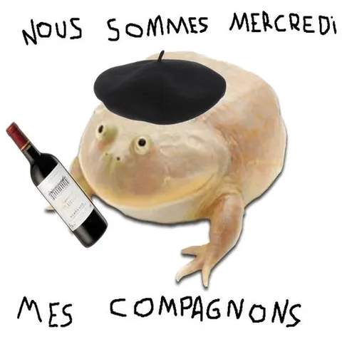Nous sommes mercredi mes compagnons