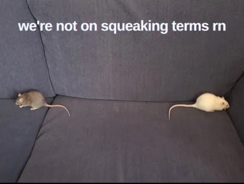 Mice Not on Speaking Terms