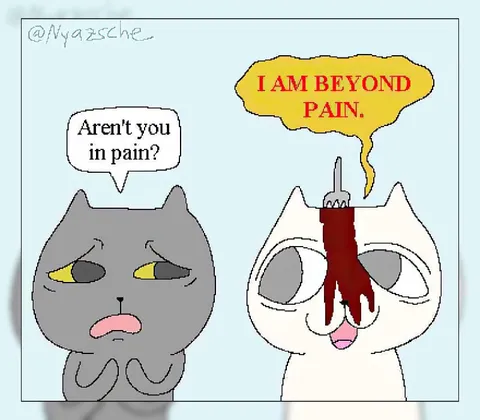 Beyond Pain Cat