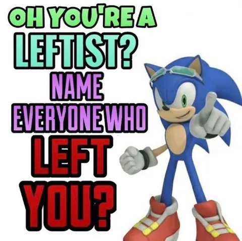 Sonic Challenges a Leftist