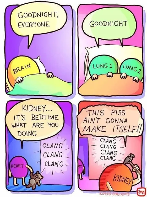 Internal Organs Say Goodnight