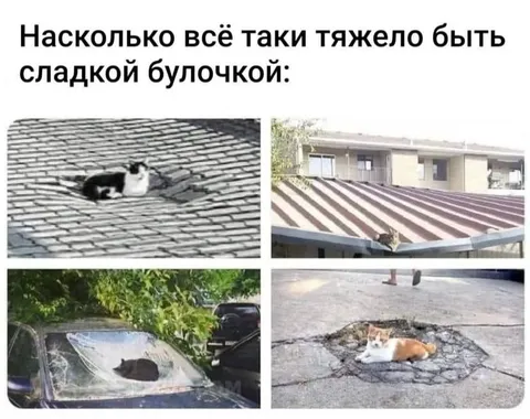 Тяжело быть сладкой булочкой