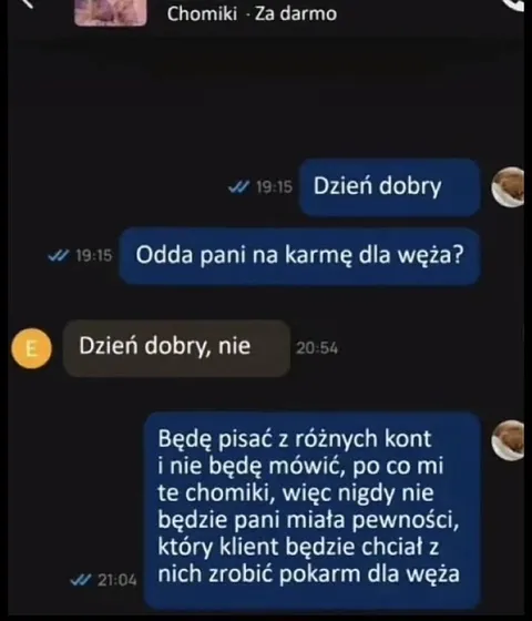 Karma dla węża z chomików