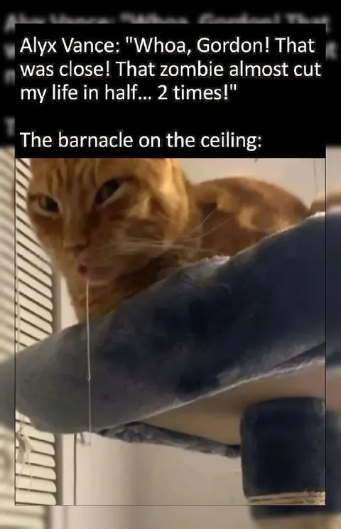 Barnacle Almost Cuts Life in Half