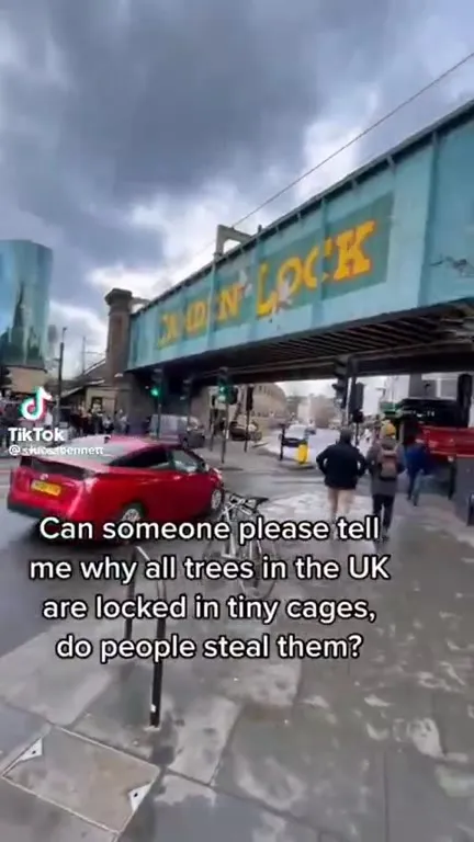 UK Trees in Tiny Cages
