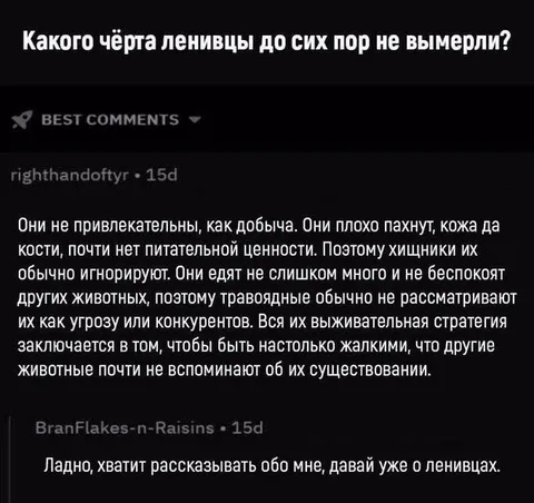 Ленивцы и хищники