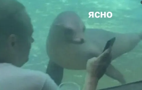 Ясно, понятно под водой