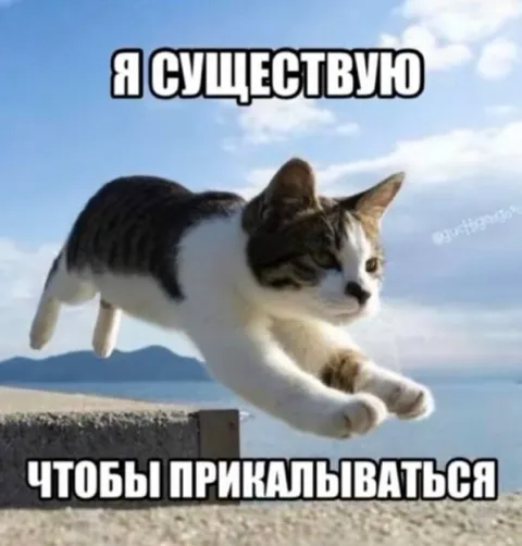 Я существую, чтобы прикалываться