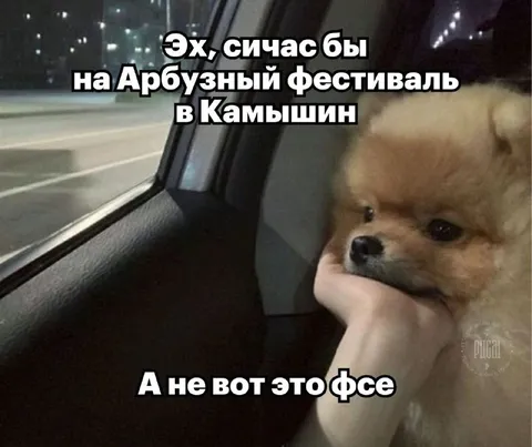 Арбузный фестиваль в Камышине