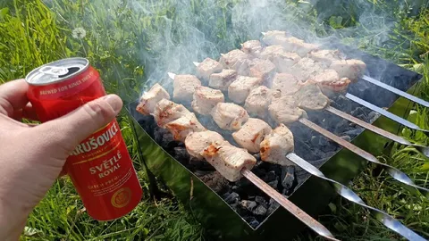 Шашлык и пиво на природе