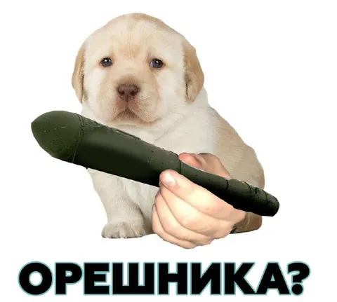 Щенок с Орешником