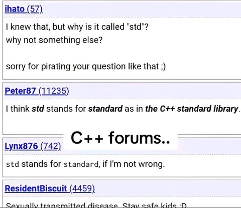 Why Is It Called std?