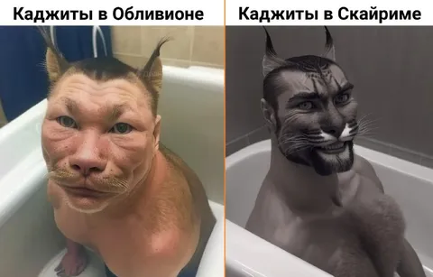 Каджиты в Обливионе и Скайриме