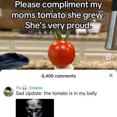 Mom's Proud Tomato Update