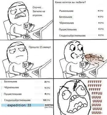 Опросик про котяток