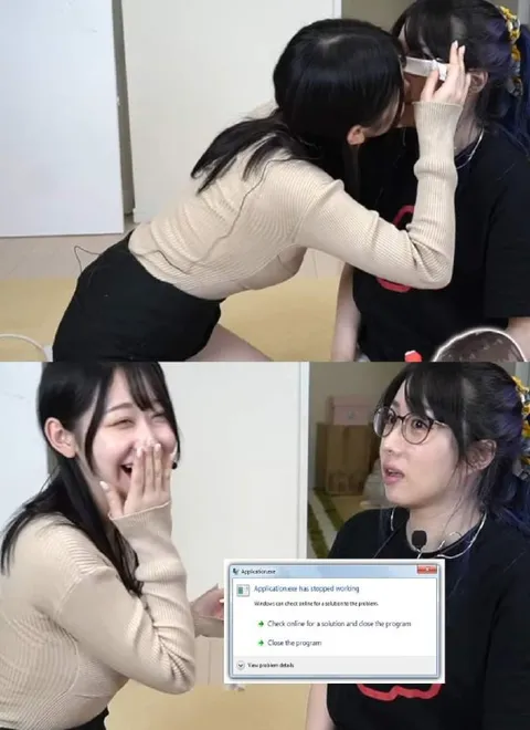 Application.exe Has Stopped Working
