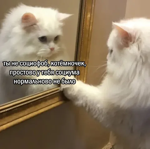 У тебя не было социума