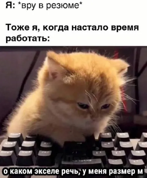 Кот не знает Excel