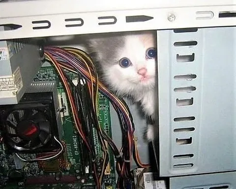 Котёнок внутри компьютера