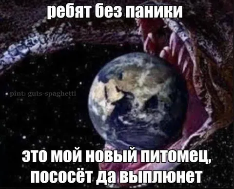 Ребят без паники — новый питомец