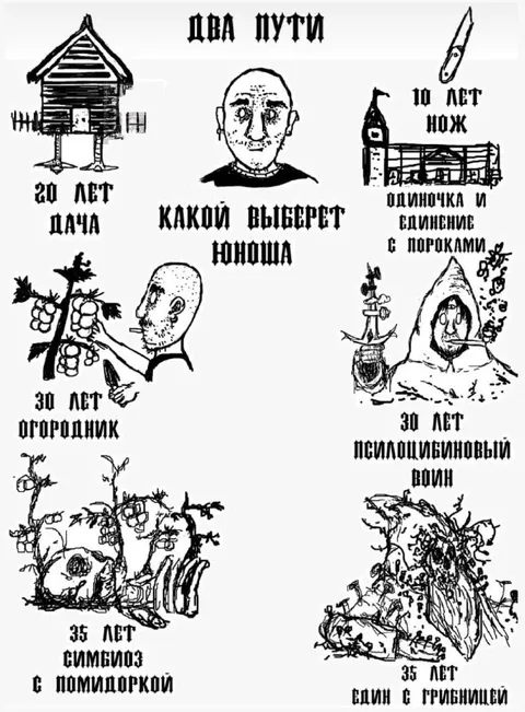 Два пути Нюши