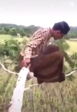 Сел на ветку и пожалел