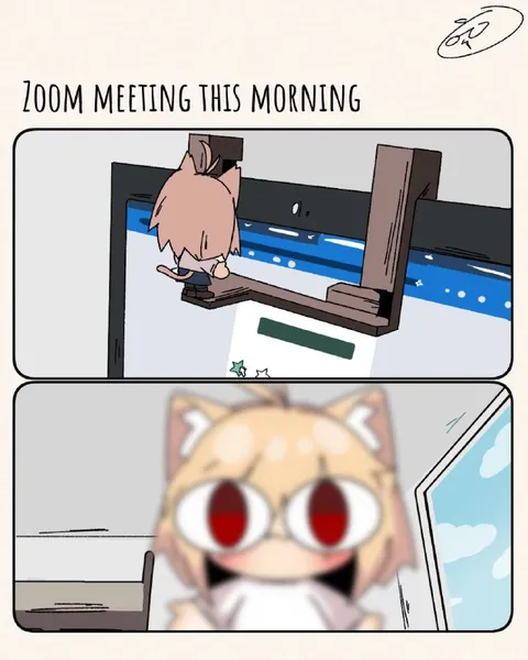 Zoom Meeting This Morning