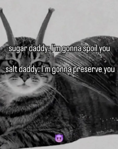 Sugar Daddy Salt Daddy Cat