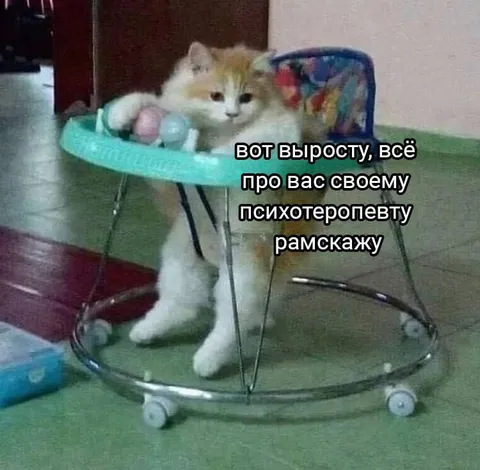 Кот всё расскажет психотерапевту