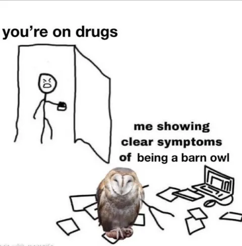 Clear Symptoms of a Barn Owl