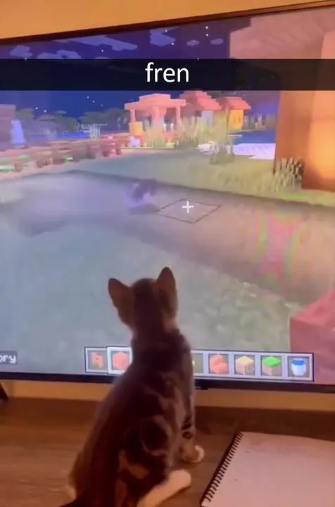 Кот знакомится с fren в Minecraft