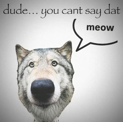 Dog Says Meow