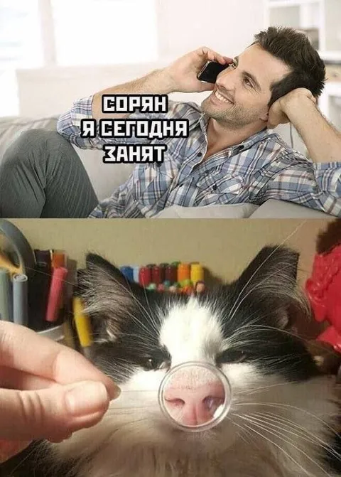 Сорян, я сегодня занят
