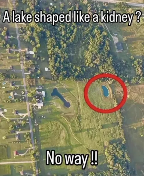 Kidney-Shaped Lake Reaction