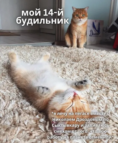 Четырнадцатый будильник