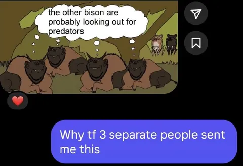 Three People Sent Me This