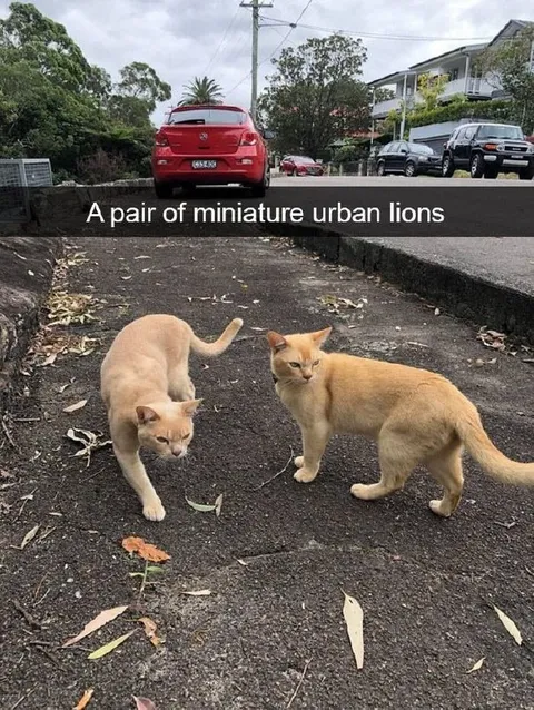 A Pair of Miniature Urban Lions