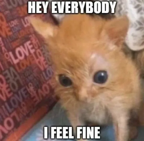 Hey Everybody I Feel Fine