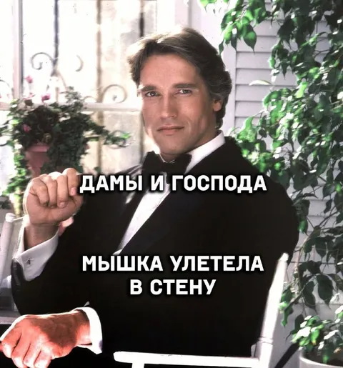 Дамы и господа, мышка улетела