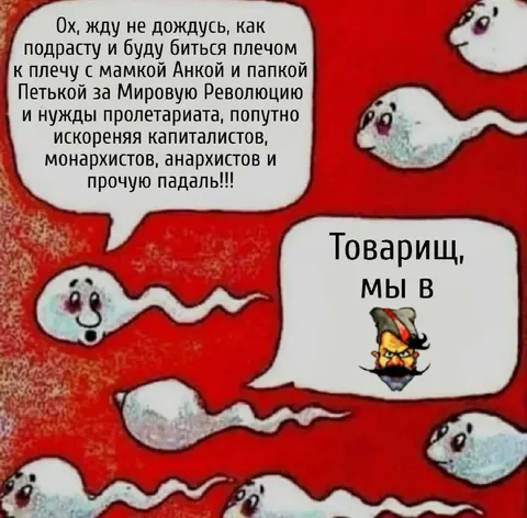 Товарищ, мы в утробе