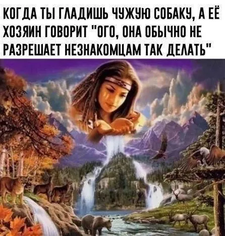Когда чужая собака разрешила погладить