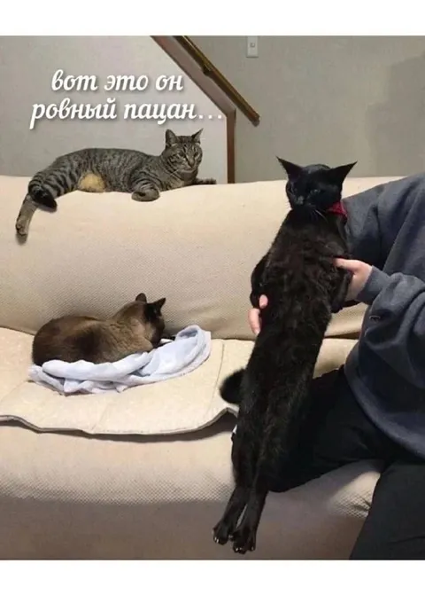 Вот это он ровный пацан