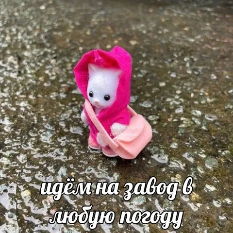 Идём на завод в любую погоду
